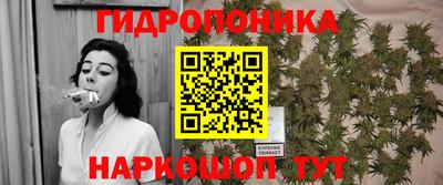 стаф Балахна