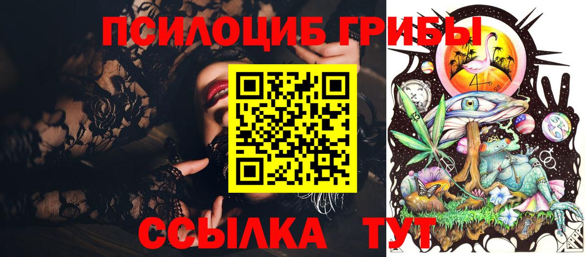 Псилоцибиновые грибы Psilocybe Гудермес
