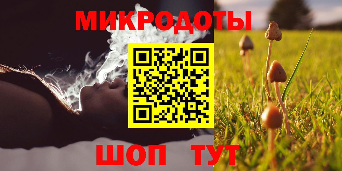 Гудермес  Псилоцибиновые грибы MAGIC MUSHROOMS  наркотики  Вход с VPN  Галлюциногенные грибы GOLDEN TEACHER 